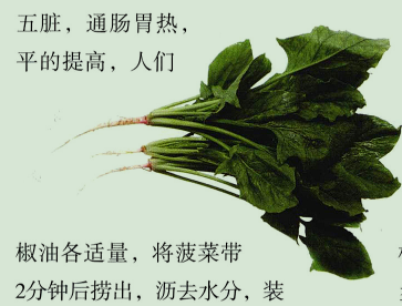 为什么说菠菜可以解酒？