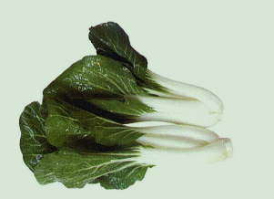 为什么说松菜可以解酒？