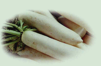 为什么说萝卜可以解酒？