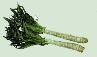 为什么说莴苣可以解酒？