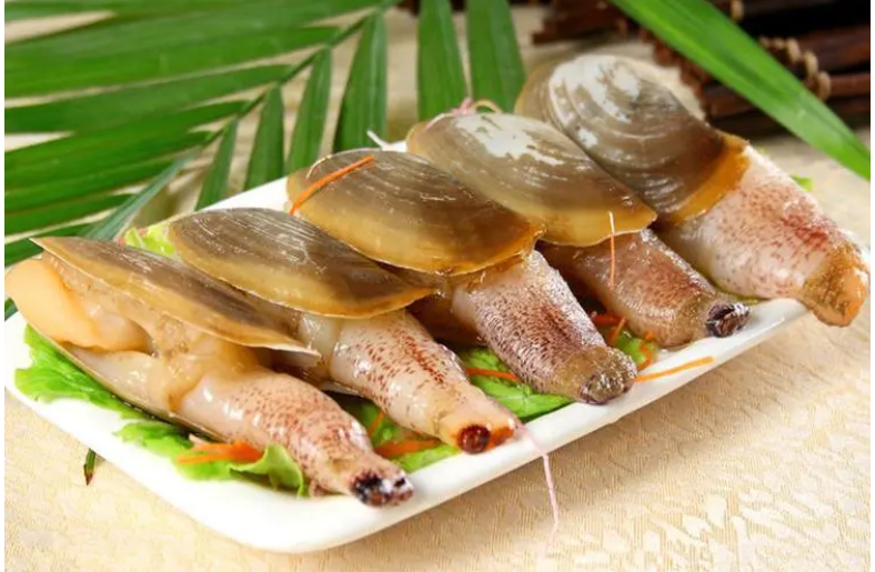 为什么说蚌肉可以解酒？