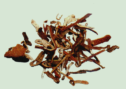 单味中药解酒之橘皮介绍