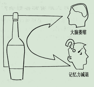 饮酒之后酒对大脑有哪些影响？