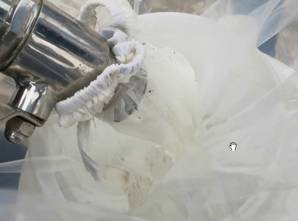 窖外环境微生物的生态分布情况如何?