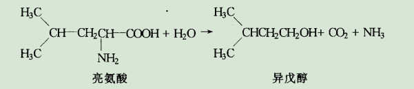 为什么曲酒生产在热季会降质减产?